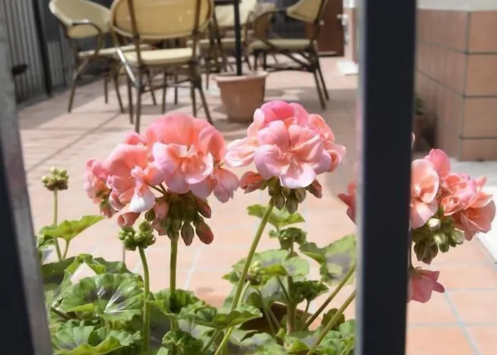 Bed & Breakfast San Leonardo Mascali